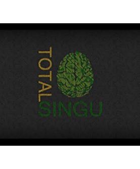 Total Singu Steam Key GLOBAL